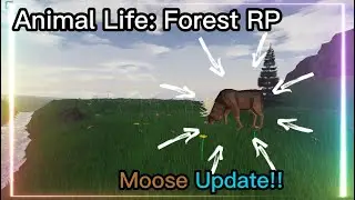 Animal Life: Forest RP: Moose update!! + Art