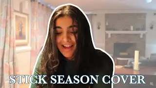 Stick Season - Noah Kahan COVER