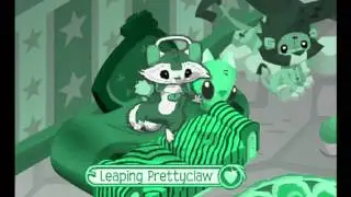 RACOONS R HERE!! =)