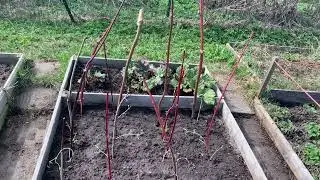 Воскресение на даче🧹обед на террасе🥬🥩