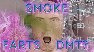 DMT CHANGES THE SOUND OF YOUR FARTS