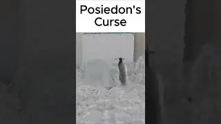 Posiedon's Curse #pharaoh #curse #trending #popular #meme