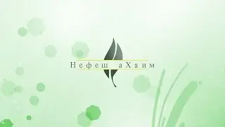 Нефеш аХаим. Урок № 1. Вступительный.