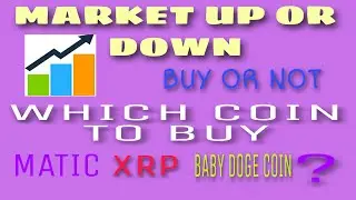How do you know market is going up or down?