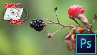 Photoshop | Select Subject