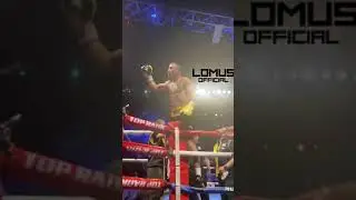 Василий Ломаченко одержал яркую досрочную победу над Накатани.