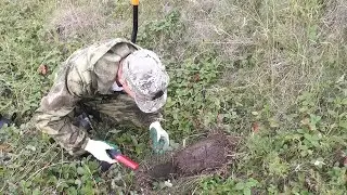 Монеты сыплются толи КОПАТЬ толи СНИМАТЬ голова кругом ! А мой беленький бонус уже ждал меня