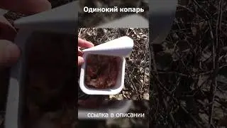 Обед кладоискателя! 