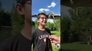 Minyatür eserler🏛️, masal kahramanları😻, dino park🦖