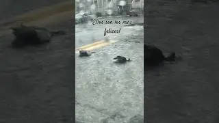 Felices? Más que felices!