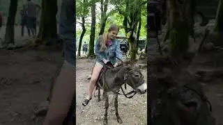 Путешествие в горы 🏔