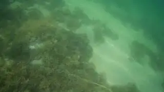 2018 0731 160346 006
