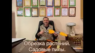 Пила садовая. Обзор, как выбрать. Рекомендации от Сырового Андрея