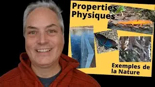 Propriétés Physiques de la Matière et Exemples dans la Nature - Chimie et Écosystèmes - SNC1W