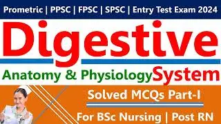 Human Digestive System - Anatomy & Physiology | Solved MCQs