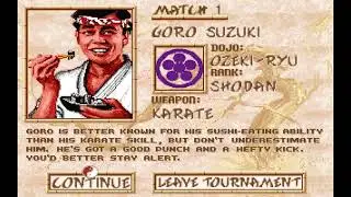 Budokan The Martial Spirit PC DOS 1989 Electronic Arts