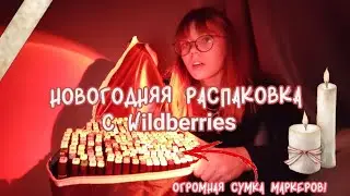 НОВОГОДНЯЯ РАСПАКОВКА С ВАЙЛДБЕРРИЗ! || 🌲🎅🏻 елизаветка