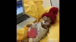 Твои глаза