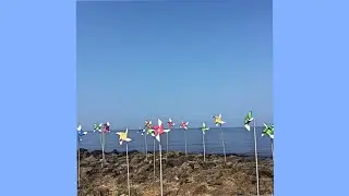 Let's go to Jeju beach