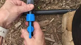 Installing Drip Tape in a Home Garden