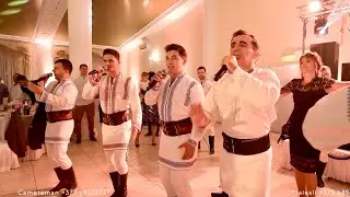 Plaiesii - cele mai tari melodii din ansamblu Plaiesii la Nunta