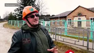 26 ноября 2024 г.