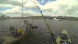 Paddlefish Below Lake Livingston Uncut