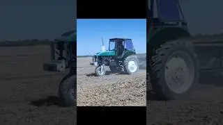 traktor TTZ 80 Tariq ekish