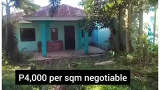 HOUSE AND LOT NEAR TAGAYTAY 1300SQM WITH FENCE, ALONG THE ROAD, 4K/SQM