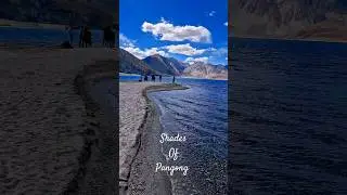 Shades of Pangong Tso  #shorts #ladakh