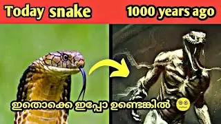 Biggest extinct animals|വംശനാശം സംഭവിച്ച ഏറ്റവും വലിയ മൃഗങ്ങൾ 😲|malayalam facts...