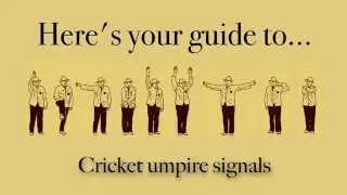 Cricket umpire signals explained
