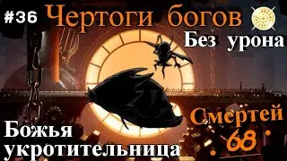 God tamer without damage. Halls of the gods Hollow Knight.