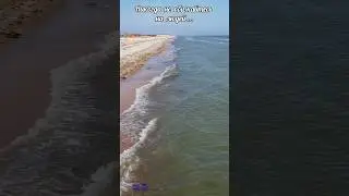 Никогда не обижайтесь на людей ...