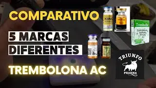 Uma melhor que a outra! Comparativo | Colorimetria| Trembolon@ Acetato