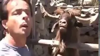 Der sprechende Bock/ Lass dich nie von einem Bock anspucken lassen, dass bringt unglück!!!!