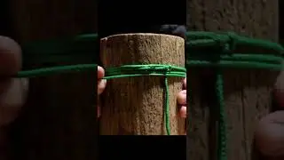 Bushcraft Cabin in the Woods - Crafting Bird Feeders | Shorts #bushcraftimprovisation