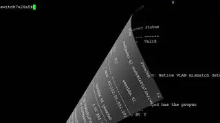 Configure a VLAN Interface on NP6 (FortiGate CLI)-Demo