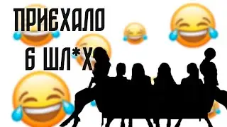 Приехало 6 шл*х | Пошлые анекдоты