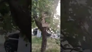 да это не я пен делаю.#мем #cupcut #memes #мемы_тикток #tiktok #мемы #adolfhitler #юмор #диградация