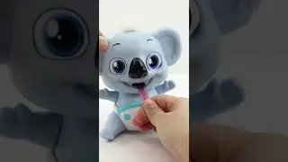 Can this koala really eat your hair? 