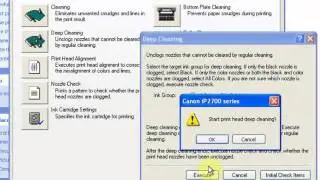 Cleaning Canon printer (agnes)