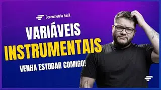 COMO LIDAR COM ENDOGENEIDADE? | Entenda as Variáveis Instrumentais