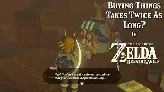 Why Having 999 Ancient Arrows Makes Speaking to Beedle Very Annoying... in Zelda Breath of the Wild
