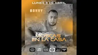 SHAKIRA - MOSCAS EN LA CASA (Cover por ronvy)
