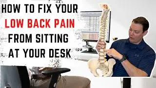 How To Fix Your Low back Pain From Sitting At Your Desk