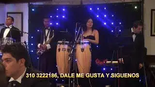 MUSICOS BOGOTA BODAS