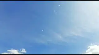 Голуби у Виктора-56 г. Бронницы