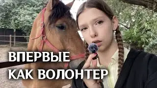 НОВАЯ КОНЮШНЯ🫢 || помощником в новое место..✨