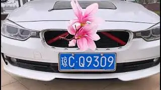 Front Grille Trim Strips For BMW